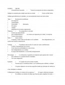 Equipos de trabajo. Características Generales