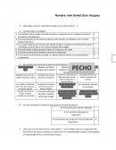 Arquitectra Vertical