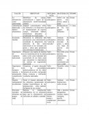 Seentencia c 209-2007