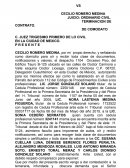ORDINARIO CIVIL. TERMINACION DE CONTRATO