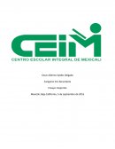 Ensayo sobre los deportes