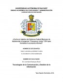 Cuál es el objetivo del Gobierno Federal Mexicano de implementar el programa “Crezcamos Juntos” 2014 para formalizar la economía informal?