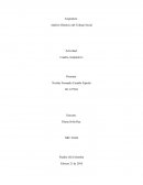 Análisis Histórico del Trabajo Social