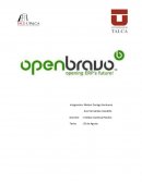 ¿Qué es Openbravo?
