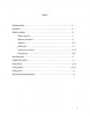 La reforma constitucional , juicios orales