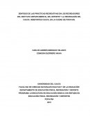 SENTIDOS DE LAS PRÁCTICAS RECREATIVAS EN LOS RECREADORES DEL INSTITUTO DEPARTAMENTAL DEL DEPORTE Y LA RECREACIÓN DEL CAUCA: INDEPORTES CAUCA, EN LA CIUDAD DE POPAYÁN.