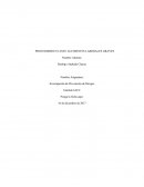 PROCEDIMIENTO DE ACCIDENTES GRAVES Y FATALES