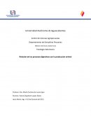 Fisiología Relación de los procesos digestivos con la producción animal