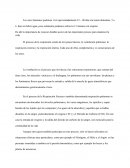 Aparato respiratorio De ahí la importancia de conocer detalles acerca de tan importante proceso para mantener la vida.