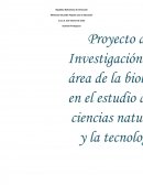 Proyecto del reciclajeю. Descripción del modelo propuesto