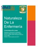 Esquema De Los Elementos De La Enfermería como Disciplina