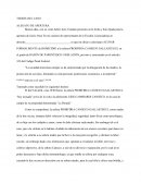 TEORÍA DEL CASO ALEGATO DE APERTURA
