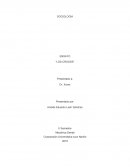 SOCIOLOGIA ENSAYO “LOS CROODS”