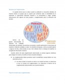 Muestreo por Conglomerados . Tipos de muestra por conglomerados