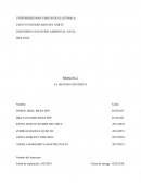 INFORME PP PASOS DEL 1 AL 8