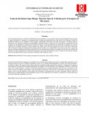 Elección Tipo de Vehículo para Transporte de Mercancía