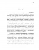 Ensayo historia de vida