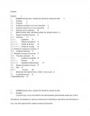 EMBRIOLOGÌA DEL APARATO GENITAL MASCULINO