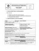 FORMULACIÓN ESTRATEGIAS DE MEJORAMIENTO EN LAS ÁREAS DE TALENTO HUMANO, SERVICIO AL CLIENTE Y GESTIÓN DE LA INFORMACIÓN ADMINISTRATIVA PARA EMPRESAS DEL SECTOR SERVICIOS