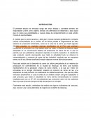 DATOS DE LA EMPRESA O PROFESIONAL QUE EFECTÚA LA