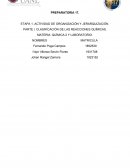 Actividad de organización y jerarquización. Clasificación de las reacciones químicas