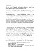 Producción Más Limpia en Colombia