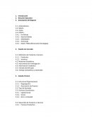 Plan de negocios resumen