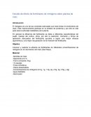 Estudio de efecto de fertilizante de nitrógeno sobre plantas de maíz