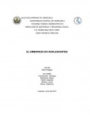 EL EMBARAZO EN ADOLESCENTES ¿Cuáles son las causas y consecuencias que acarrea el embarazo en adolescentes?