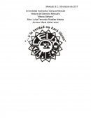 Mexico Barbaro es un interesante libro