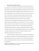 PREVISIONES DEL MEDIO AMBIENTE