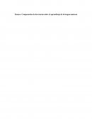 Comparación de dos teorías sobre el aprendizaje de la lengua materna