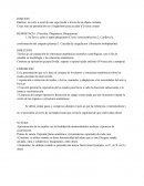 Instrumental por tiempos