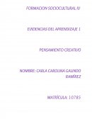 FORMACION SOCIOCULTURAL IV EVIDENCIAS DEL APRENDIZAJE 1