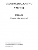 DESARROLLO COGNITIVO Y MOTOR TAREA 01 “El desarrollo sensorial”