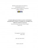 ANÁLISIS COMPARATIVO ENTRE LAS LEYES Y CONVENIOS DE EXTRADICIÓN DE VENEZUELA CON RESPECTO A COLOMBIA EN EL ÁMBITO DE CESIÓN DE NACIONALES