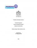 Sistemas de Información Primera entrega - Moreno Advisors S.A.S.