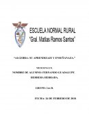 Algebra: su aprendizaje y enseñanaza