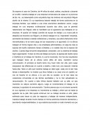 Estudio de caso de Carolina, de 44 años de edad