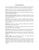 Herramientas de Excel