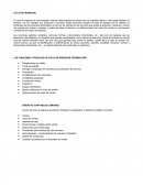 CICLOS DE CONTROL INTERNO