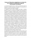 Mecanismos epigenéticos en el desarrollo de la memoria y su implicación en algunas enfermedades neurológicas