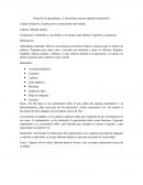 Situación de aprendizaje: ¡Conozcamos nuestro aparato respiratorio!