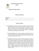 Guia para elaboración de informes