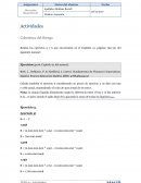 Actividades Cobertura del Riesgo