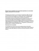 Resumen de los resultados de los instrumentos aplicados en la comunidad elegida y descripción de la comunidad