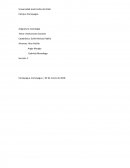 Instituciones sociales. La institución es definida como un sistema de pautas sociales