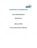 Primer avance práctica profesional. ¿Qué es una meta?