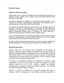Perfil del Proyecto Producto: Hierbas Aromáticas