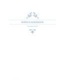 BORRELIA BURGDORFERI Enfermedad de Lyme
